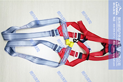 成人全身安全帶