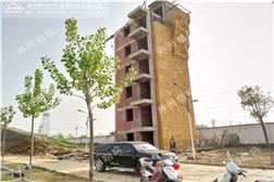 駐馬店部隊依附式攀巖墻